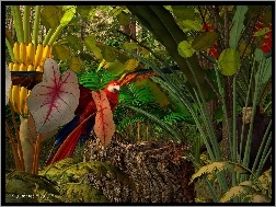 3D, Tropikalna, Dżungla